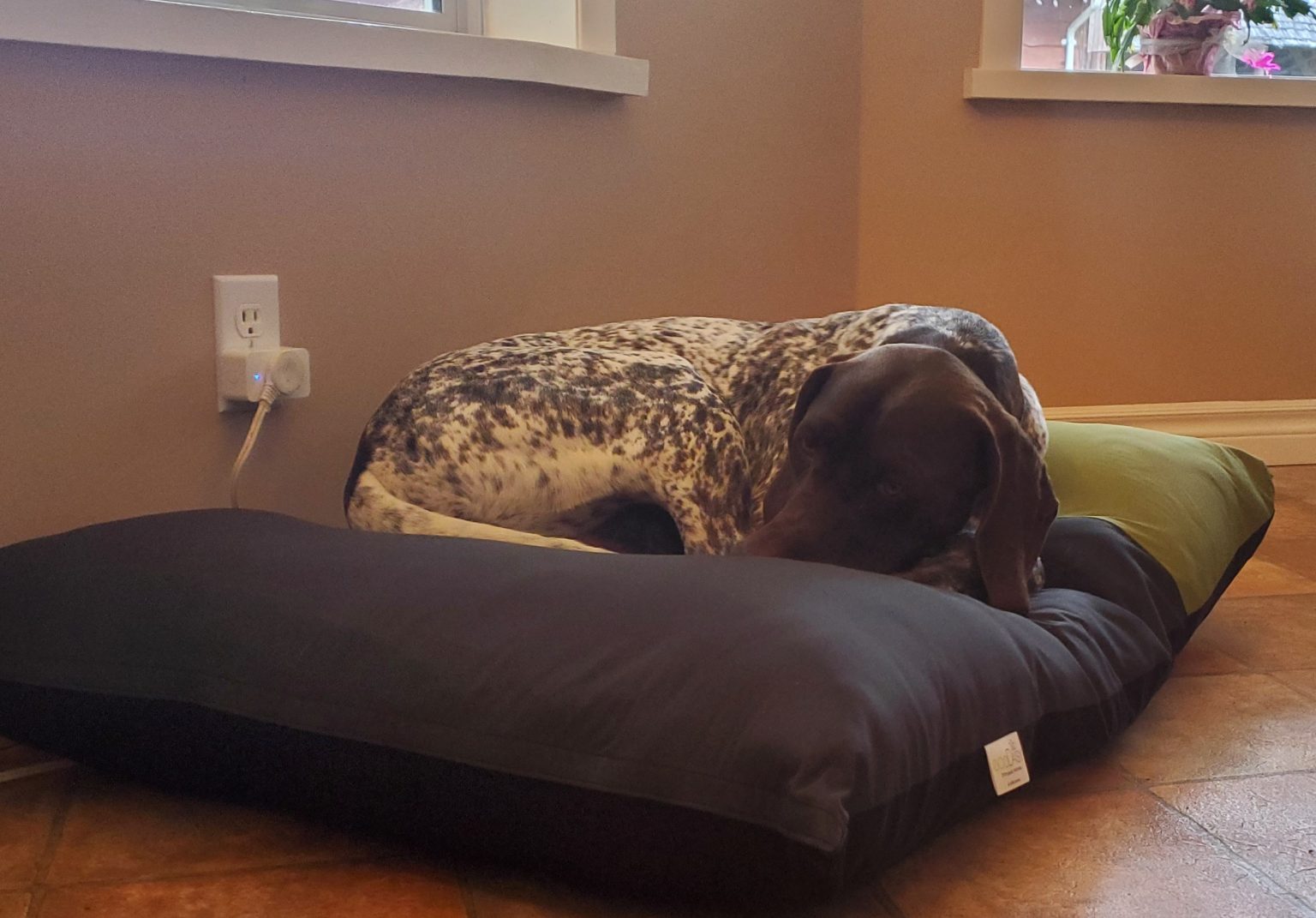Replacement Dog Bed Covers